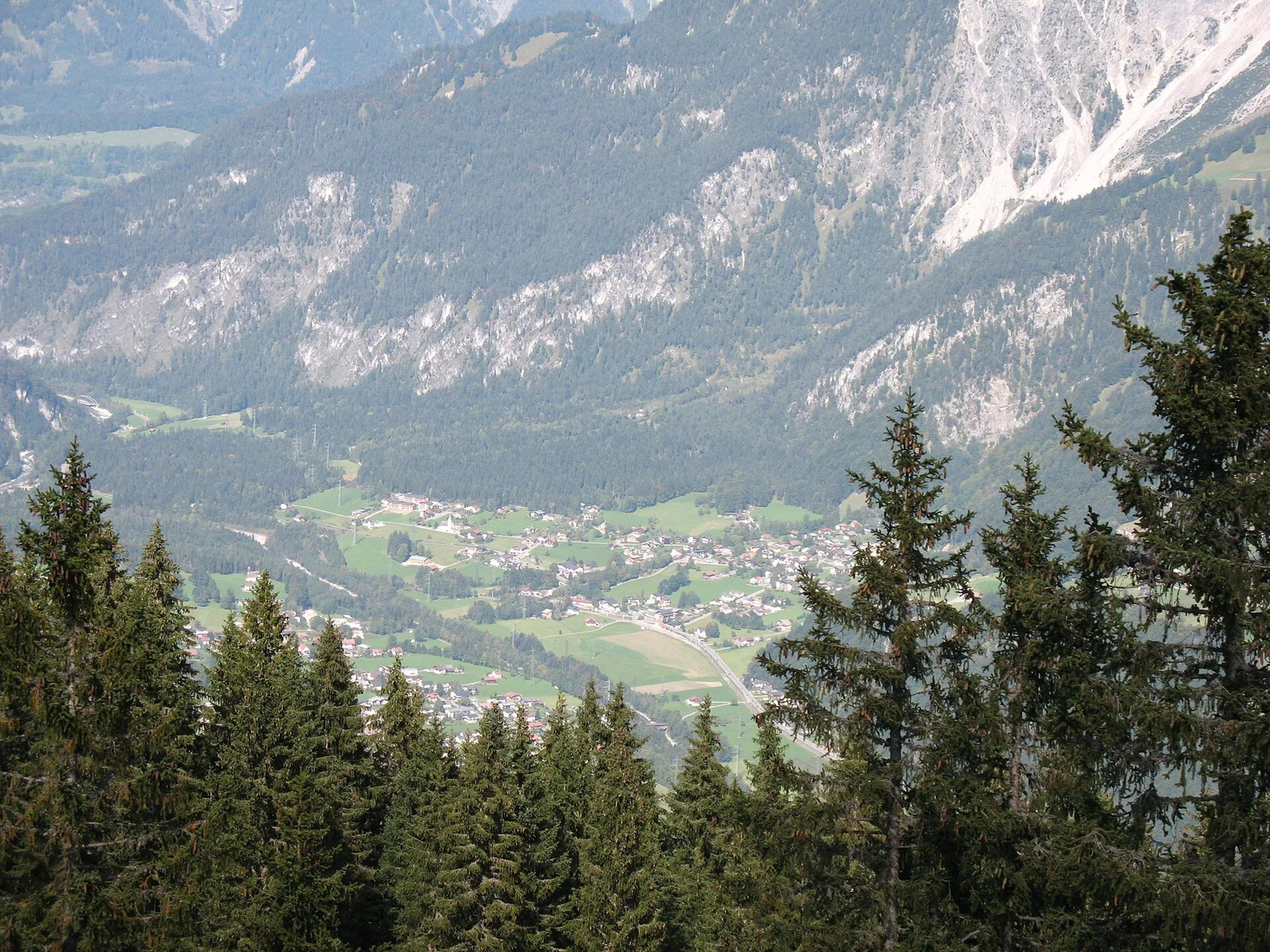 Bild 4: Blick von oben durch Fichten auf einen Talboden mit Dorf